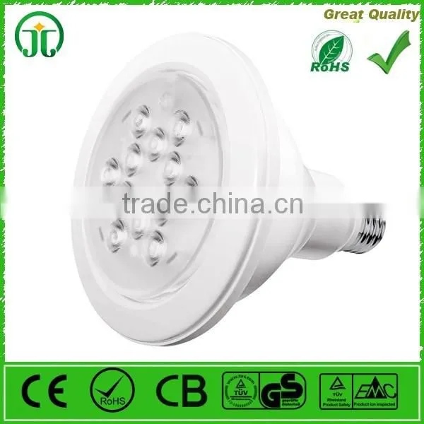 15-watt Indoor PAR38 Dimmable LED Light Bulb, Daylight