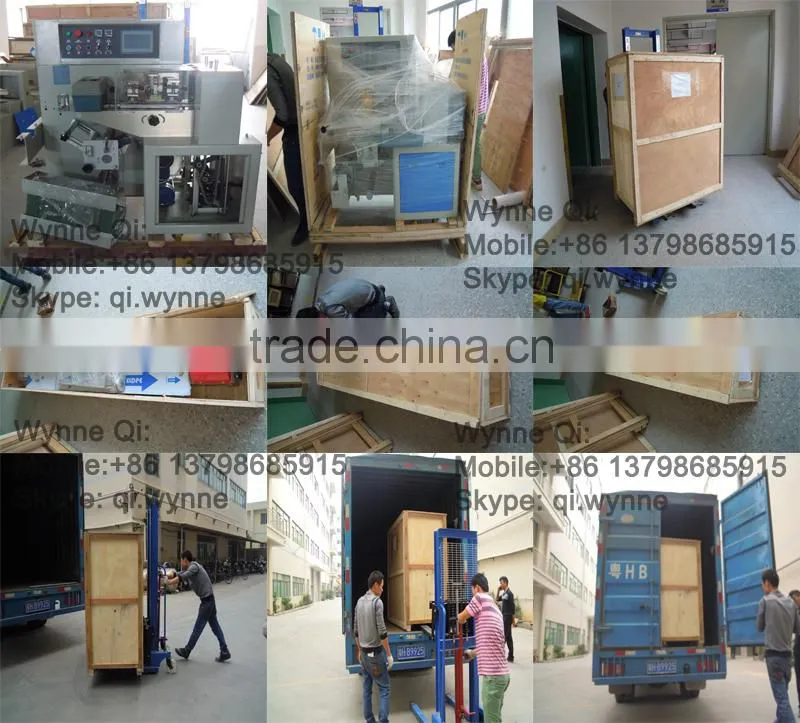 SK-350X Italy horizontal flow packing machine