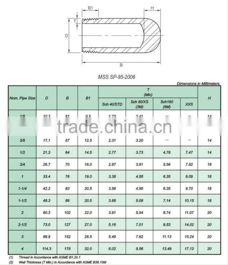 Plug(Hex Head Plug,Square Head Plug,Round Head Plug)/ NPT A105 Forged fittings 3000# 1/8"-4"