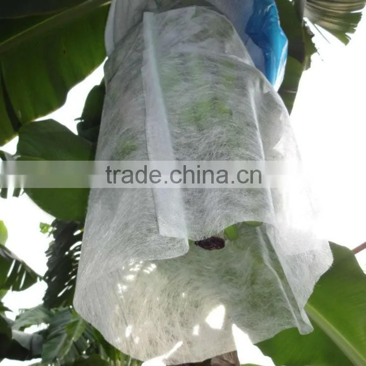 pp spunbond nonwoven banana protection cover/ nonwoven plant protective bags/ pp plant protect fabric