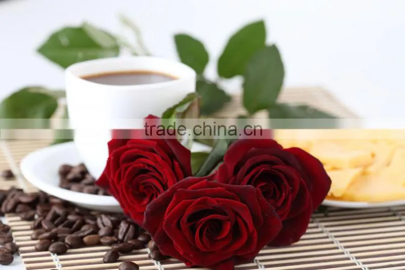 Custom Logo Table Throw Table colthes Trade Show Table Cover