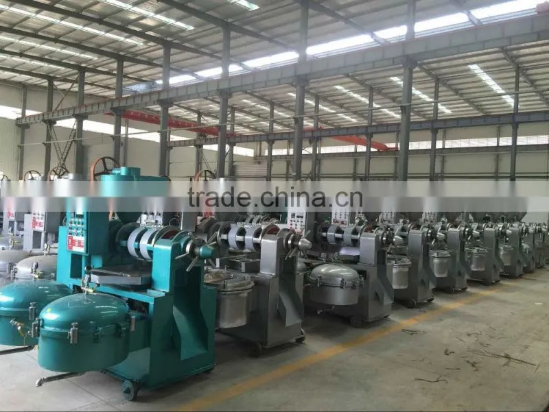 YLJZ50*1 SS steel made Vacumm edible sesame oil filter machine