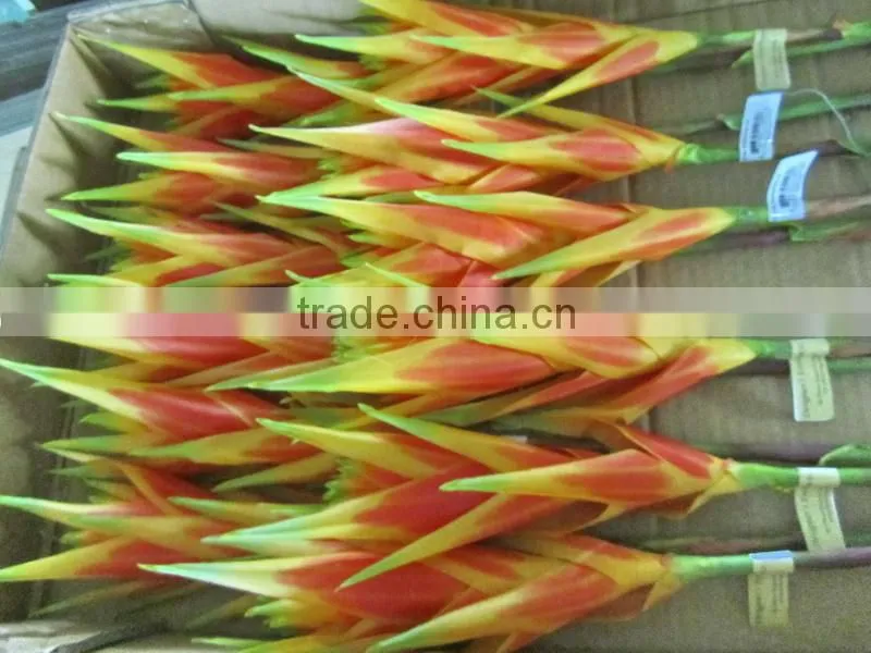 silk tropical flower tropical presentation