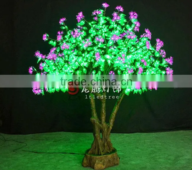 bonsai flowering cherry tree