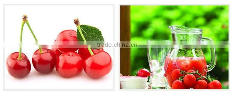 Organic Acerola Cherry Extract Powder
