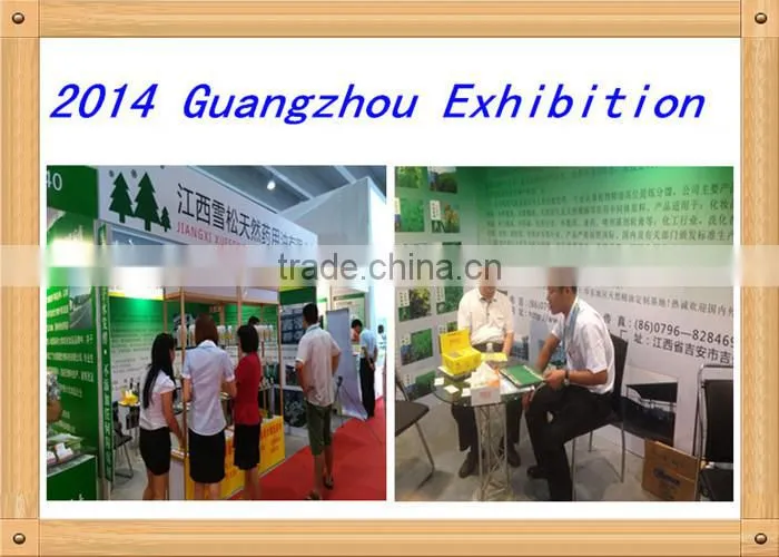 Pharmacal grade Natural post pine oil with high quality for athletes foot treatment