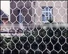 chicken wire mesh
