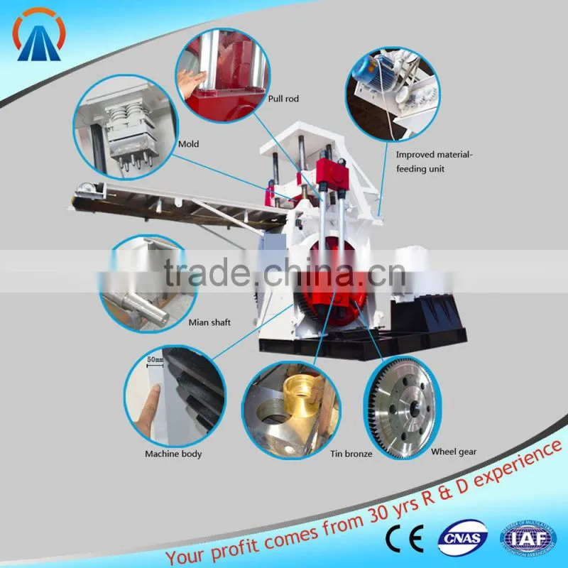 High Technology Clay red pk 300 block making machine