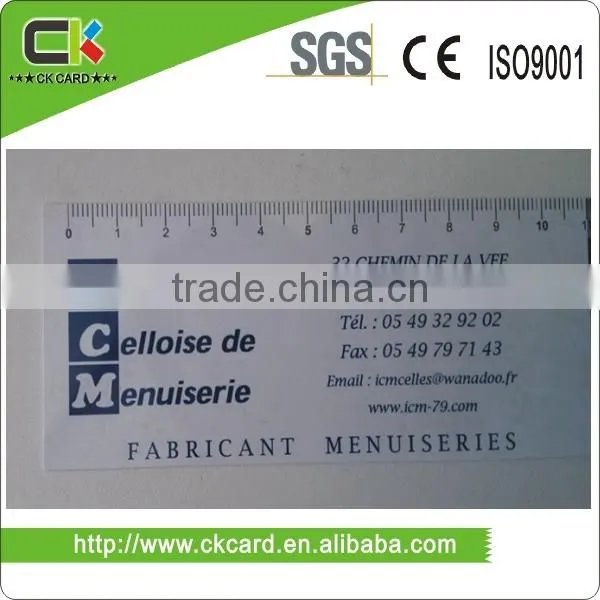 Custom Logo offset Printing PVC Ruler