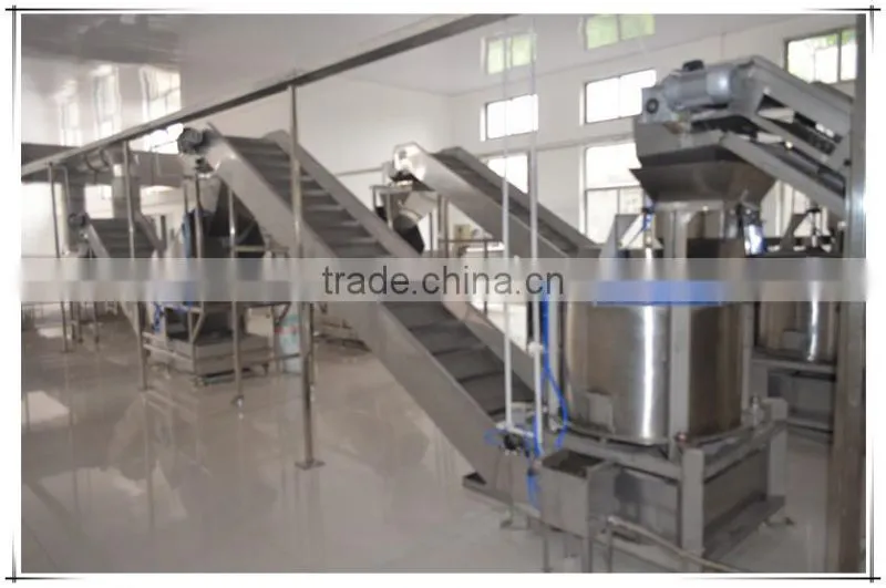 Frying Peanut production line