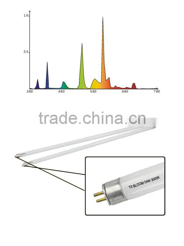 Good quality sell well t5 fluorescent tube