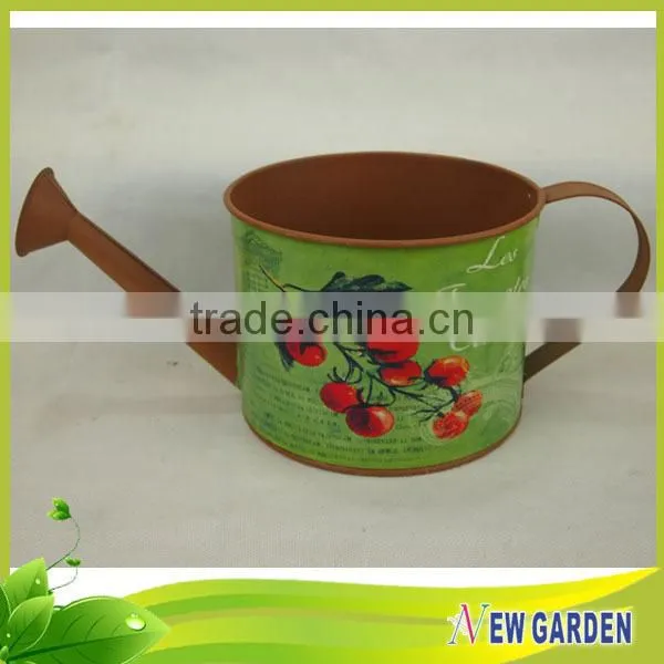 Artistic Modern Excellent Design Watering Can Shape African Flower Pots