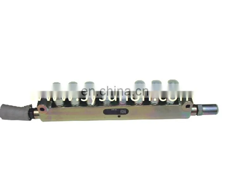 high pressure fuel injection tube common rail pipe assembly D5010222520