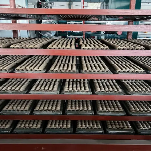 Automatic Egg Tray Egg Carton Production Line
