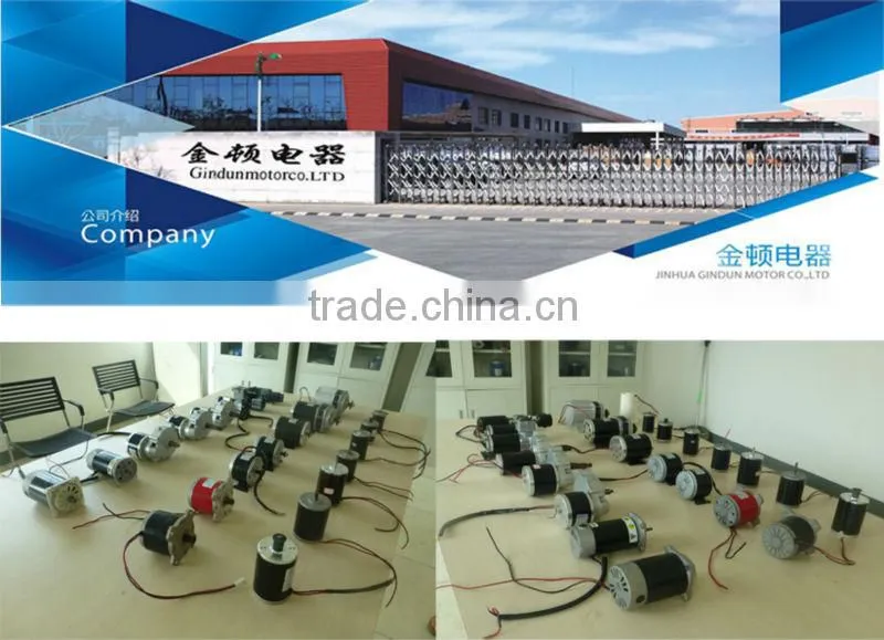 HOT SELLING 12 VOLT DC GEAR MOTOR ZY7712Z