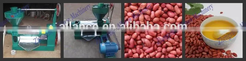Exported to Negeria peanut skin removing machine for peanut processing