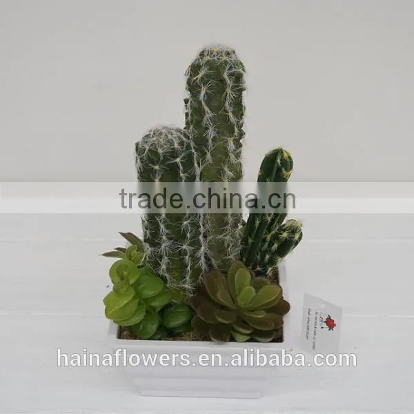 New arrival decorative artificial plants/ succulent plants mixed series