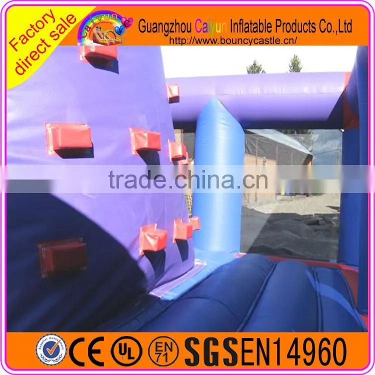 Giant cheap inflatable rock climbing wall with mattress for kids and adults