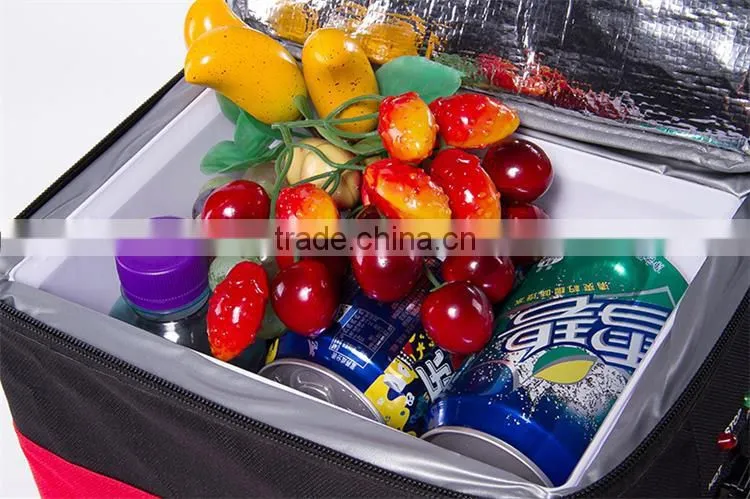 Portable outdoor holiday mini car refrigerator