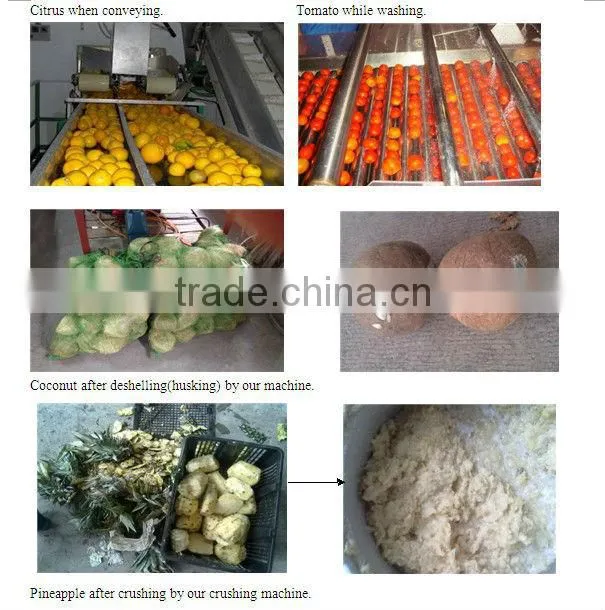 hot sales Apple juice production line(automatic)
