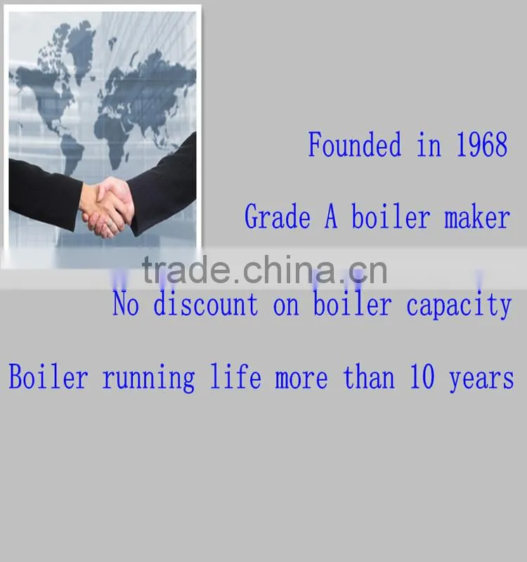 High Efficiency Hot Water Boiler