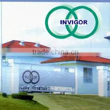 Invigor Incorporation Limited company overview - view 1