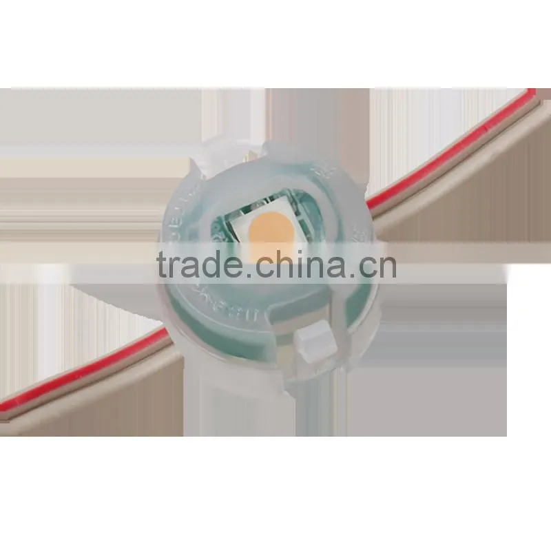 Addressable Full Color Building Outline IP67 DMX DC05V Led Pixel Lights