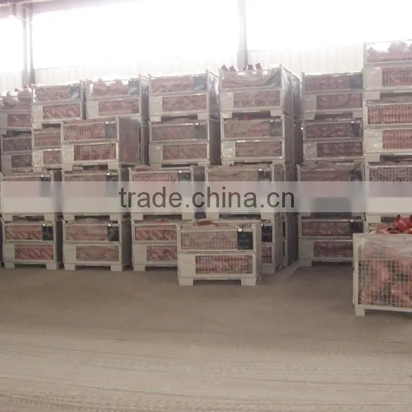 Hot Sell EN877 Cast Iron Drainage Pipe Fittings