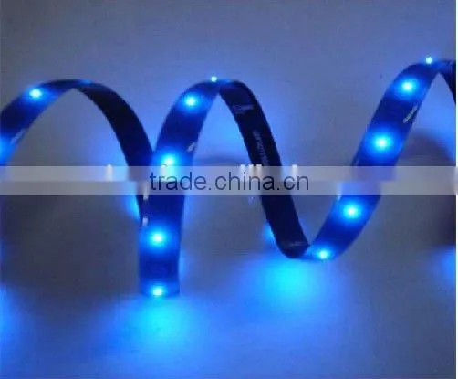 High performance Led Lamp Bulb Lights led car headlight