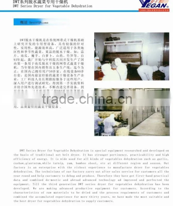 DWT Series Vegetable Dehydration Dryer