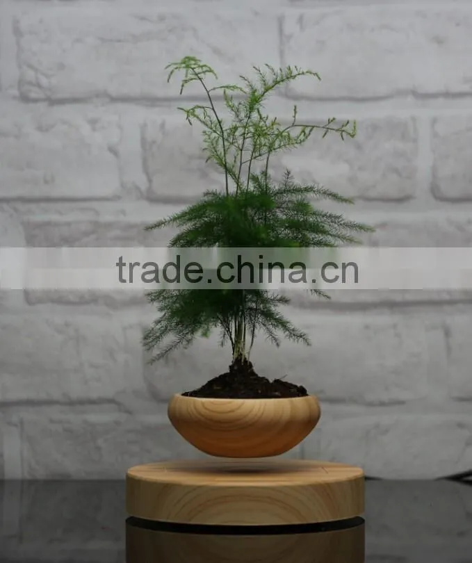 smart plant pots floating plant pots air bonsai pots
