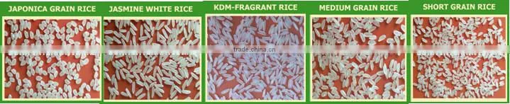 MEDIUM ROUND RICE 5% BROKEN - CROP 2015
