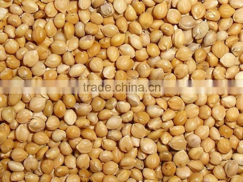 Yellow Millet In Husk Market Price