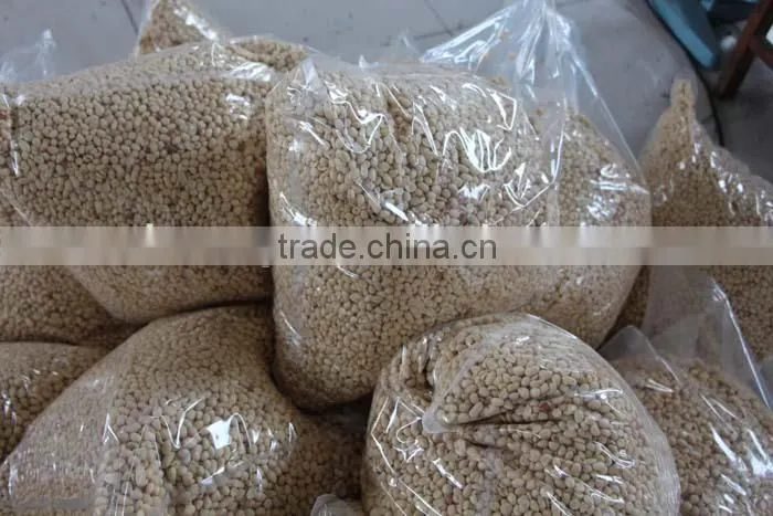 new crop Chinese blanched peanut kernels