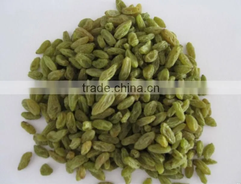 dried green raisin