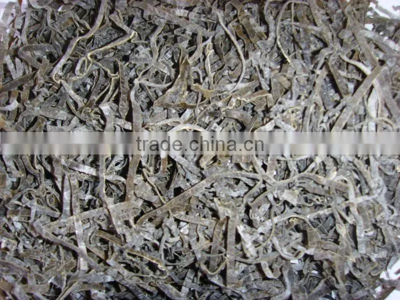 DRIED SEAWEED KELP