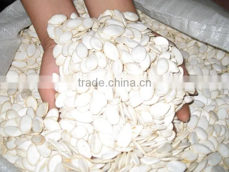 roasted and salted SNOW WHITE PUMPKIN SEEDS