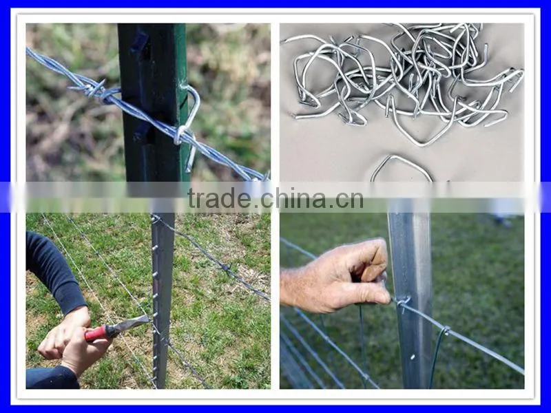 American T fence post, steel fence T post