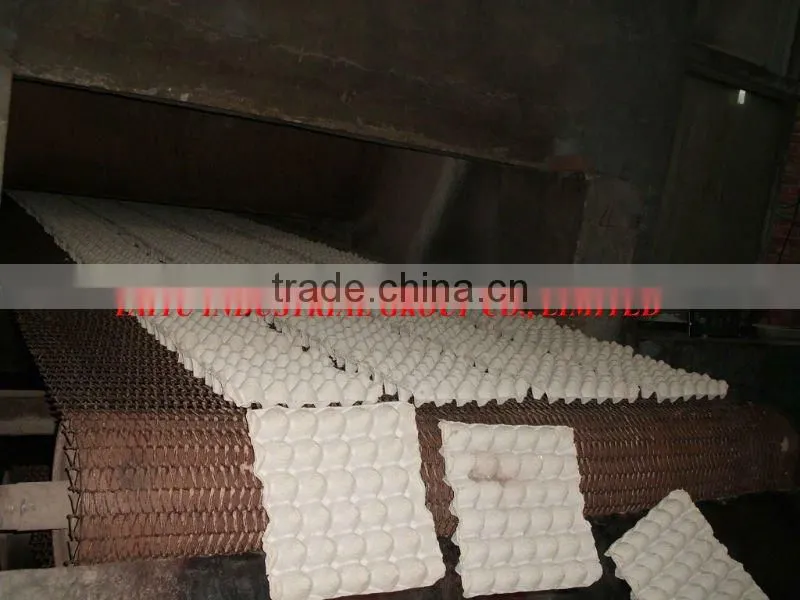 high quality paper egg tray
