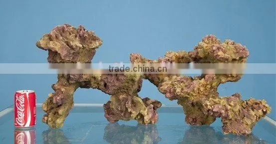 Latest Aquarium Coral Stone