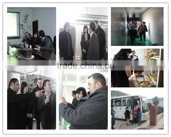2014 bee propolis of best quality