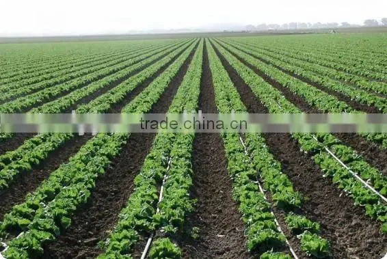 Drip Irrigation Equipment