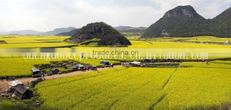 bulk wholesale bee pollen supplier