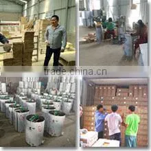 Changge Glorious Future Beekeeping Supplies Co., Ltd. company overview - view 1