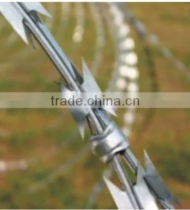 electro galvanized barbed wire anlida wire mesh manufacturer ISO9001