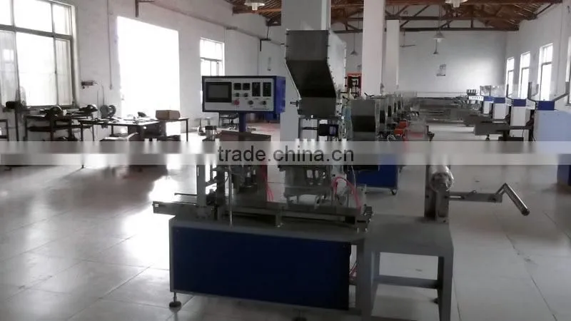 Automatic Multiple Drinking Straw Packaging Machine Model CY039