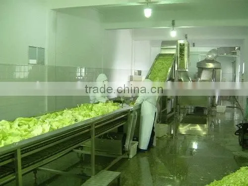 GP-II Model Pre-treatment Production Line For Vegetable Dehydration Line