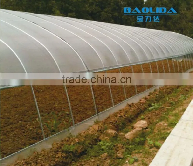 cheap vegetables tunnel greenhouse baolida tunnel green house