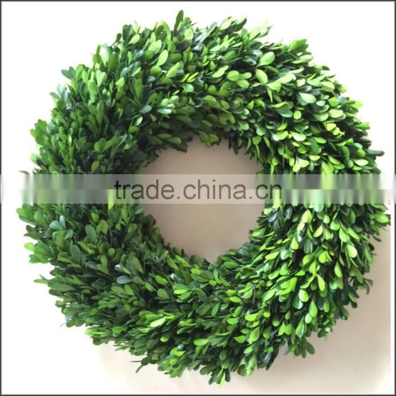 Decorative preserved holly leaves wreath