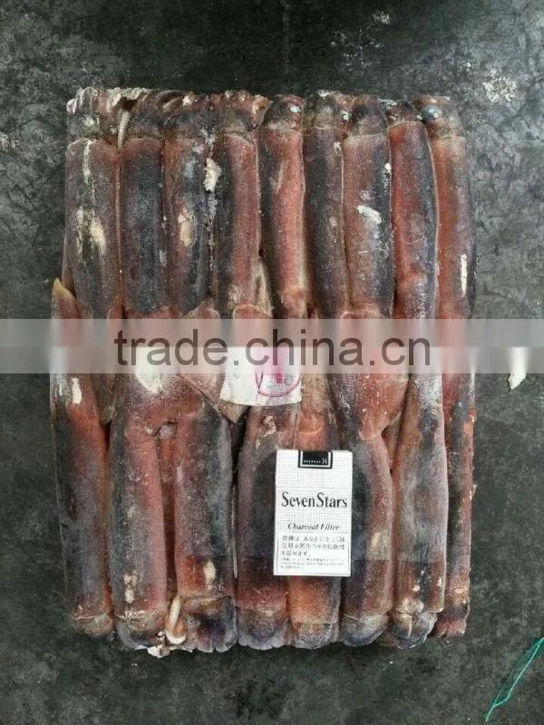 thailand loligo squid ille squid